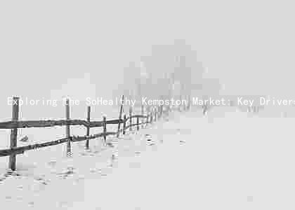 Exploring the SoHealthy Kempston Market: Key Drivers, Major Players, Challenges, and Future Prospects