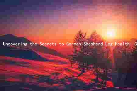 Uncovering the Secrets to German Shepherd Leg Health: Causes, Symptoms, Prevention, Treatment, and Management
