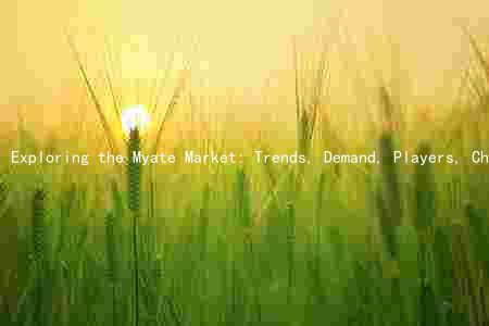 Exploring the Myate Market: Trends, Demand, Players, Challenges, and Growth Opportunities