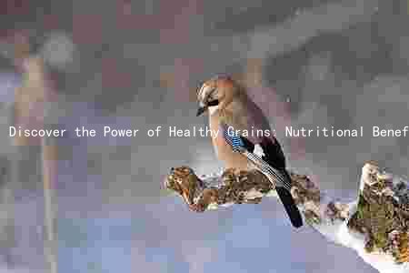 Discover the Power of Healthy Grains: Nutritional Benefits, Unique Characteristics, and Incorporation Daily Meals