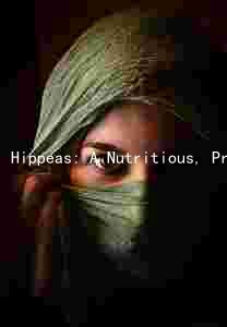 Hippeas: A Nutritious, Protein-Packed, and Tasty Plant-Based Protein Source with Potential Health Benefits and Risks